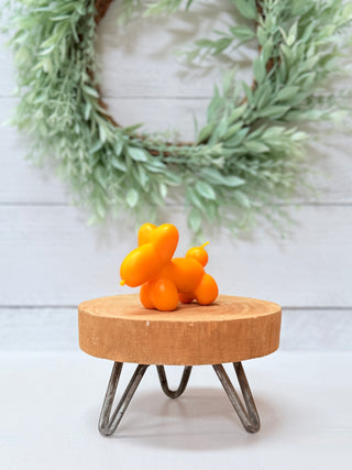 Stretchy Balloon Dog • Orange-Brittany Carl-Shop Anchored Bliss Women's Boutique Clothing Store