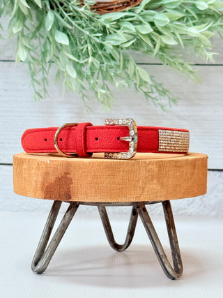 VIP Bling Pet Collars-Stacey Kluttz-Shop Anchored Bliss Women's Boutique Clothing Store