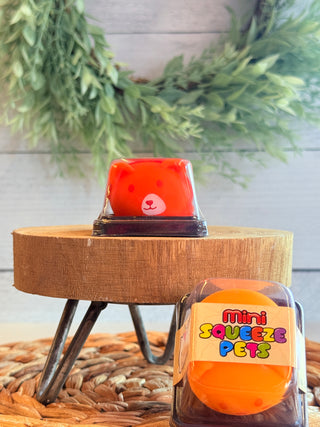 Mini Pet Squishies•Orange-Brittany Carl-Shop Anchored Bliss Women's Boutique Clothing Store