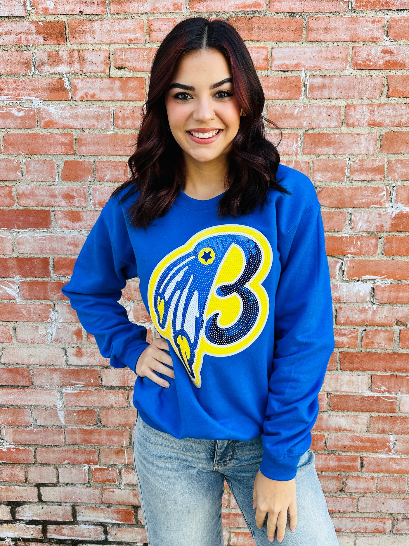 Feathered B Sequin Sweatshirt-Harps & Oli-Shop Anchored Bliss Women's Boutique Clothing Store