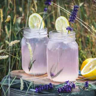 Lavender Lemonade Noble Mick's Single Serve Cocktail-Brittany Carl-Shop Anchored Bliss Women's Boutique Clothing Store