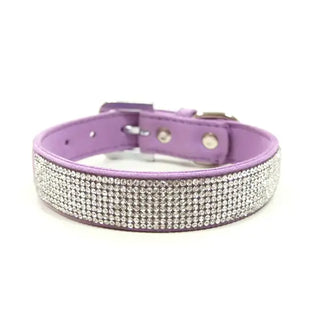 VIP Bling Pet Collars-Stacey Kluttz-Purple-XSmall-Shop Anchored Bliss Women's Boutique Clothing Store