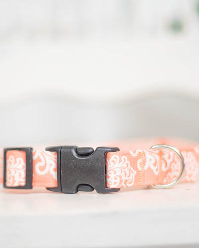 Coral Damask Dog Collar-Dog Collar World-Shop Anchored Bliss Women's Boutique Clothing Store